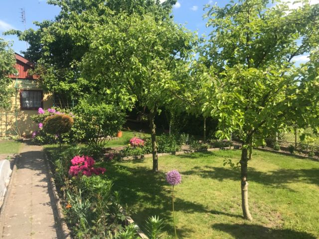 Działka rekreacyjna Wieluń. Zdjęcie 1