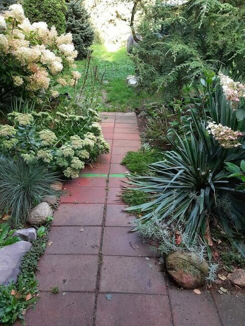 Działka rolno-budowlana Sierzchowy. Zdjęcie 4