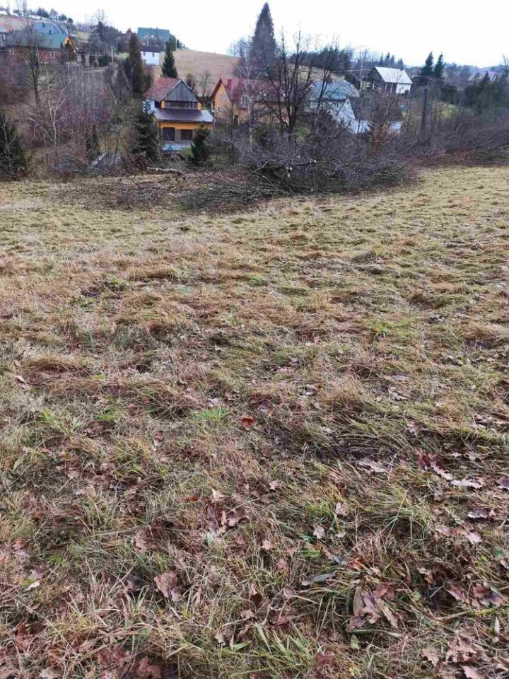 Działka rolna Poraż. Zdjęcie 4