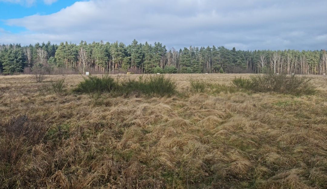 Działka budowlana Zimna Woda. Zdjęcie 9