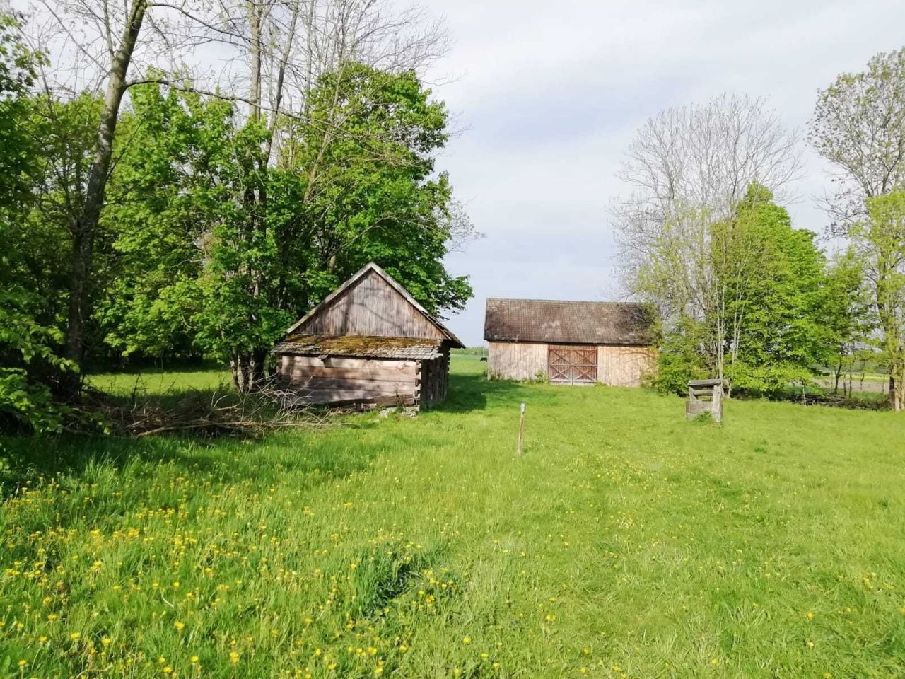Działka siedliskowa Lubień. Zdjęcie 4