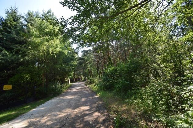 Działka rekreacyjna Kuligów, ul. Leśna. Zdjęcie 6