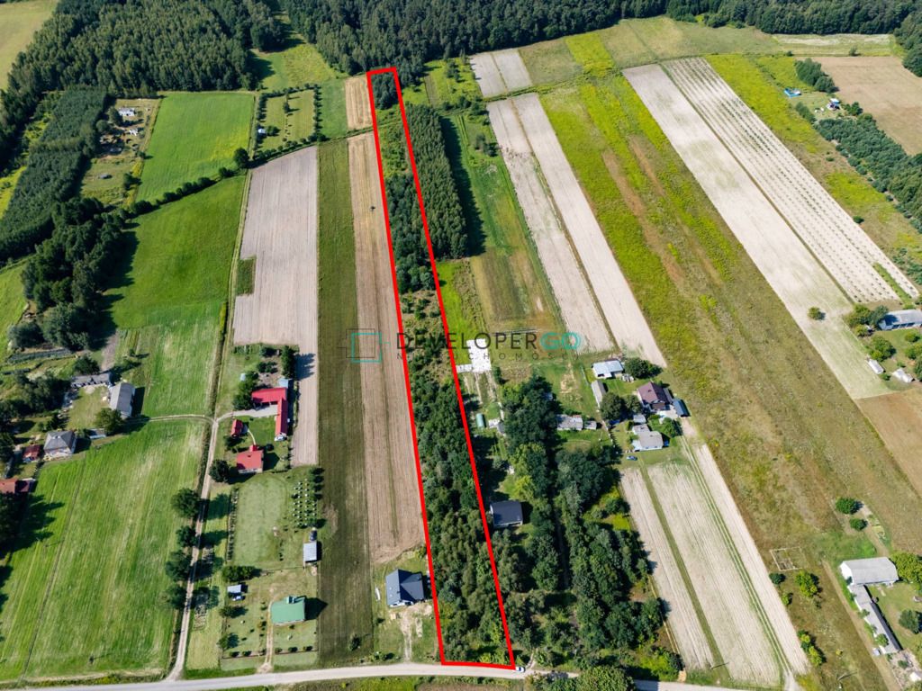 Działka siedliskowa Trzcianki. Zdjęcie 2