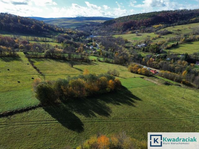 Działka rolna Rymanów-Zdrój Deszno. Zdjęcie 8