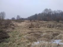 Działka budowlana Czerniec, Czerniec. Zdjęcie 2