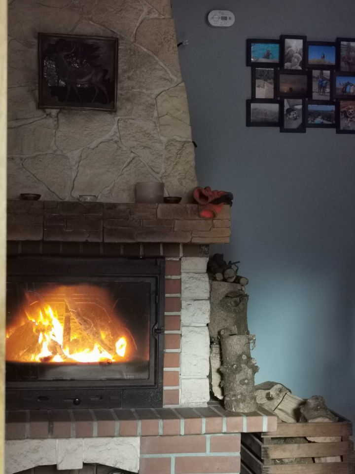 Działka rod Jagodowo osada leśna. Zdjęcie 8