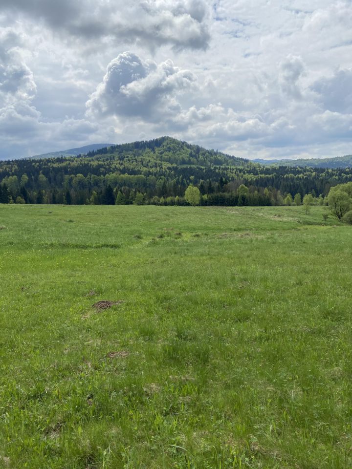 Działka budowlana Hucisko, Hucisko. Zdjęcie 7
