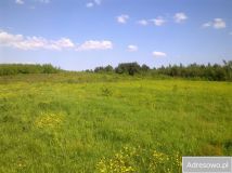 Działka budowlana Kochanówka. Zdjęcie 2