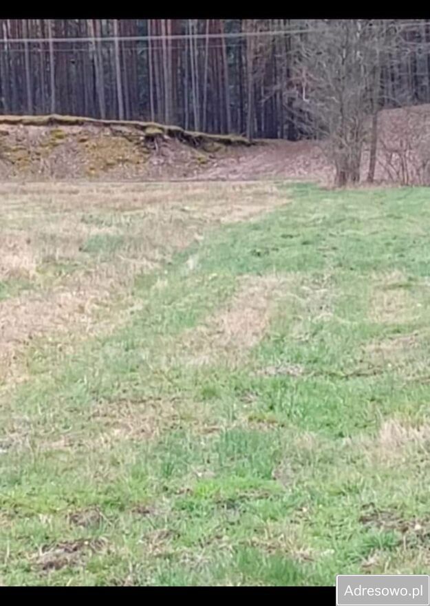 Działka budowlana Brzuza. Zdjęcie 8