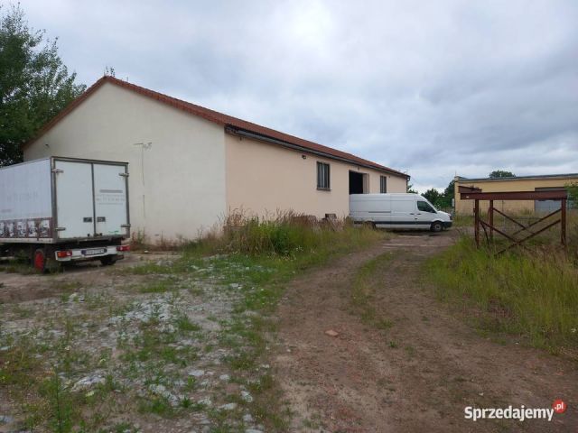 Hala/magazyn Legnica, ul. Spokojna. Zdjęcie 1