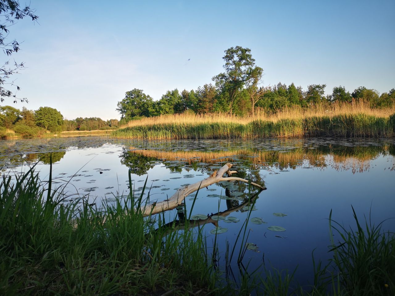 dom wolnostojący, 3 pokoje Mniszew. Zdjęcie 19