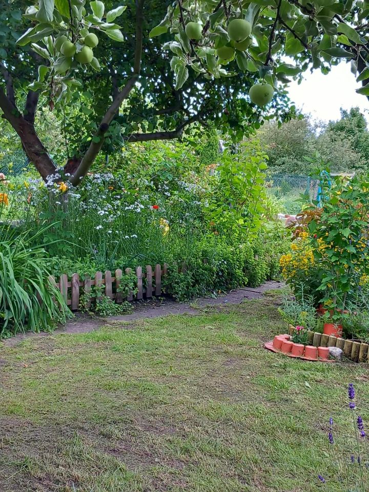 Działka rod Stargard Centrum, Drzymały. Zdjęcie 3