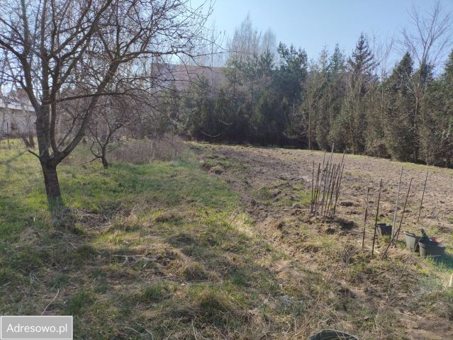 Działka inwestycyjna Wielogóra, ul. Orkana. Zdjęcie 1