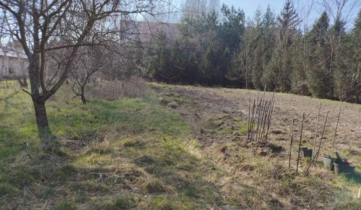 Działka inwestycyjna Wielogóra, ul. Orkana