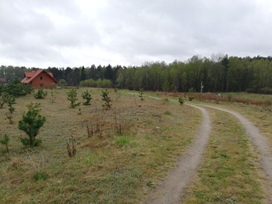 Działka budowlana Marcinkowo. Zdjęcie 5
