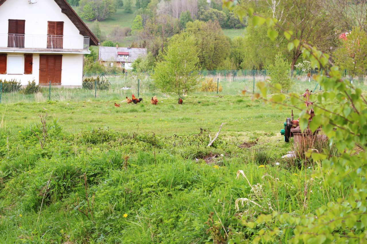 Działka budowlana Bolesławów. Zdjęcie 5