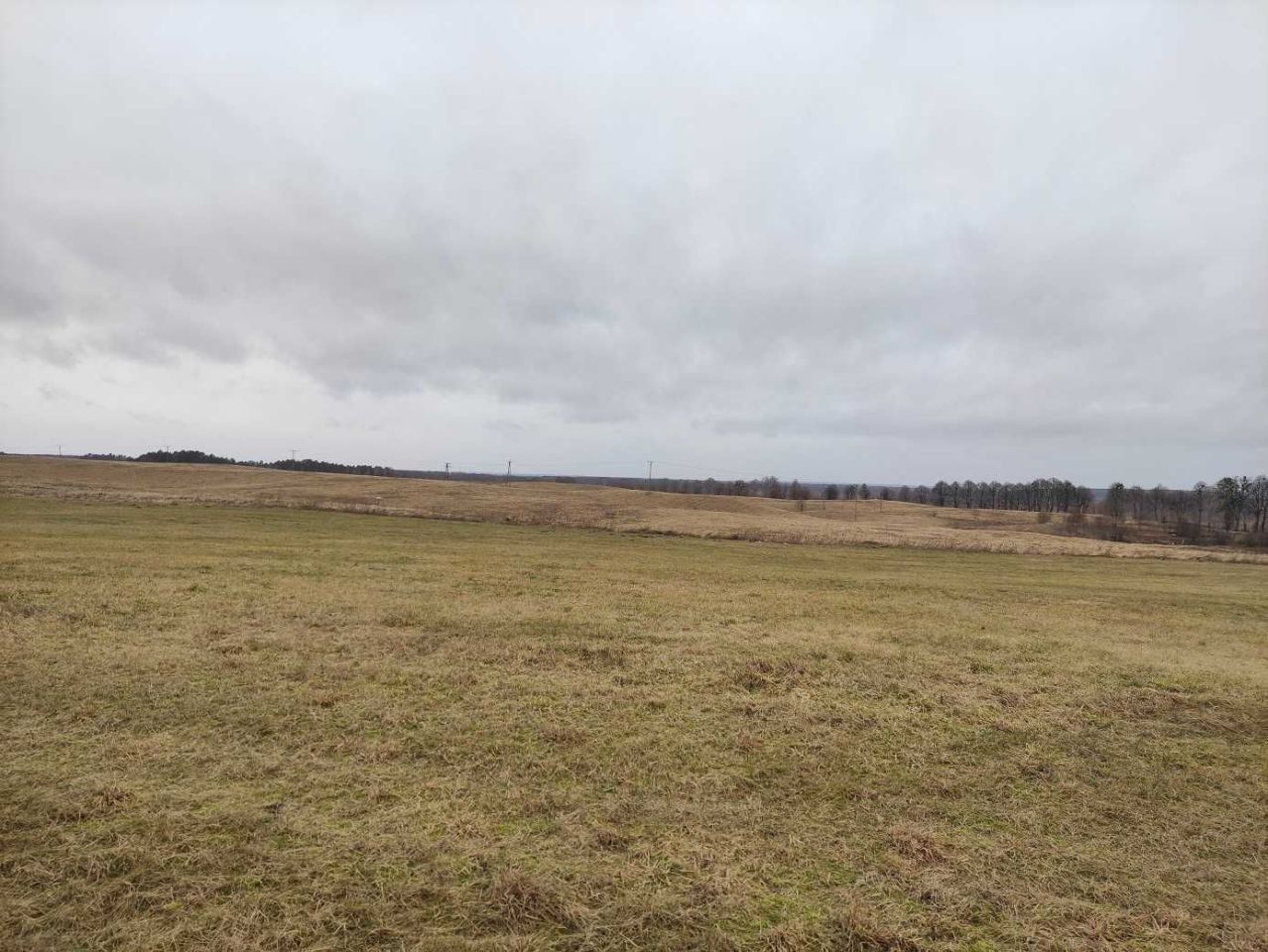 Działka budowlana Cierzpięty. Zdjęcie 8