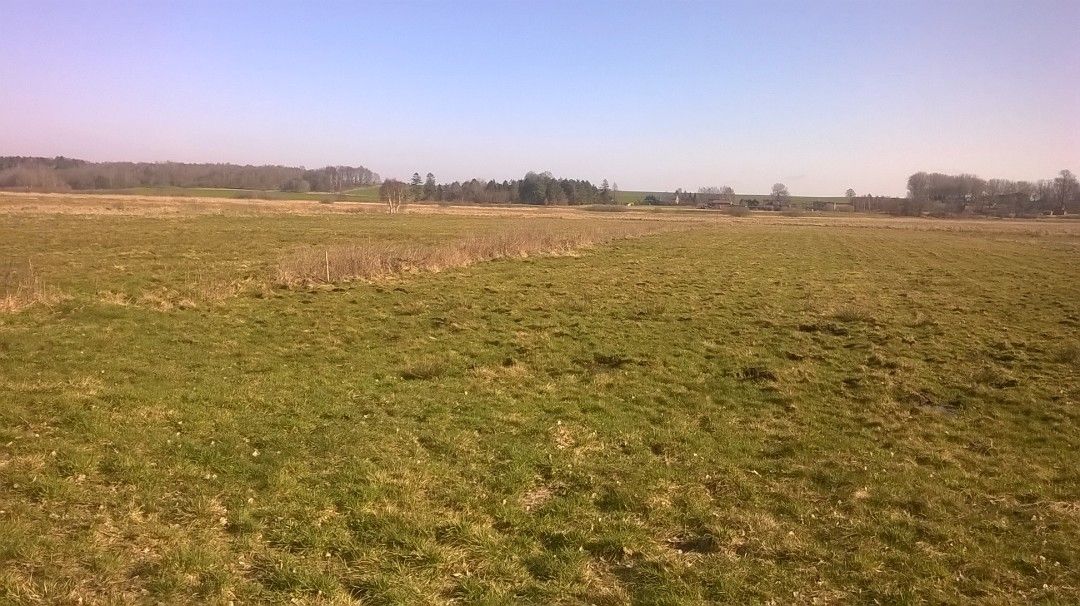 Działka rolna Sulicice Ameryka. Zdjęcie 8