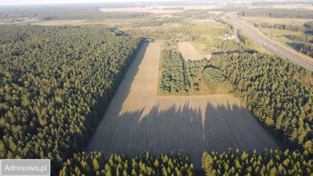 Działka rolna Platyny. Zdjęcie 1