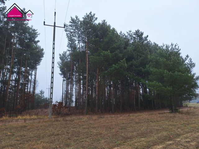 dom wolnostojący, 2 pokoje Chmielnik. Zdjęcie 12