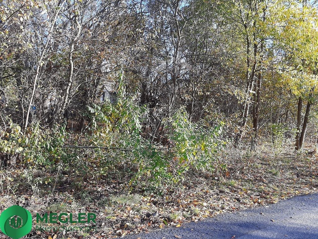 Działka budowlana Żółwin. Zdjęcie 4