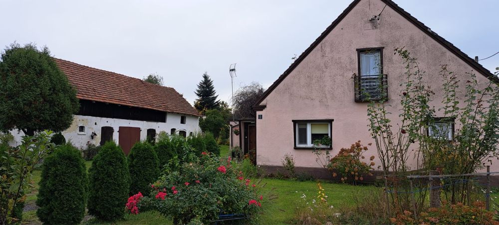 dom wolnostojący Gogołowice. Zdjęcie 3