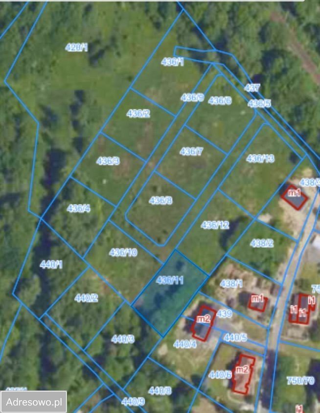 Działka budowlana Olszyna, ul. Szkolna. Zdjęcie 2