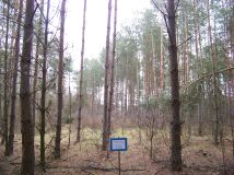 Działka rolna Helenów. Zdjęcie 1