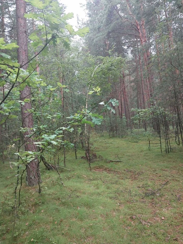 Działka rolna Horoszki Duże. Zdjęcie 5