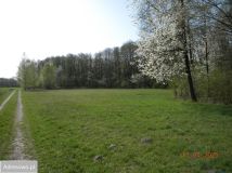 Działka rolna Nowy Dworek. Zdjęcie 2