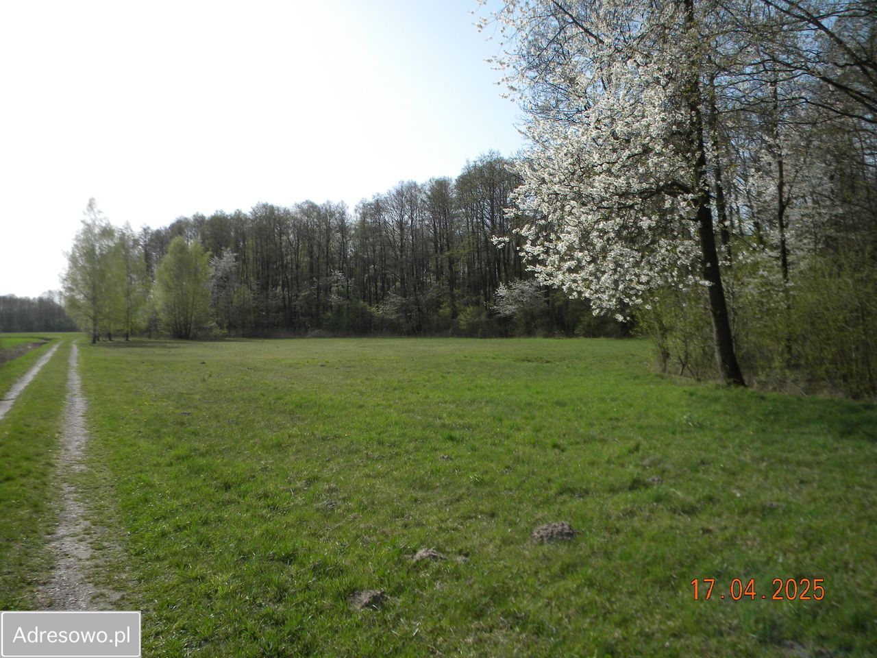 Działka rolna Nowy Dworek. Zdjęcie 3