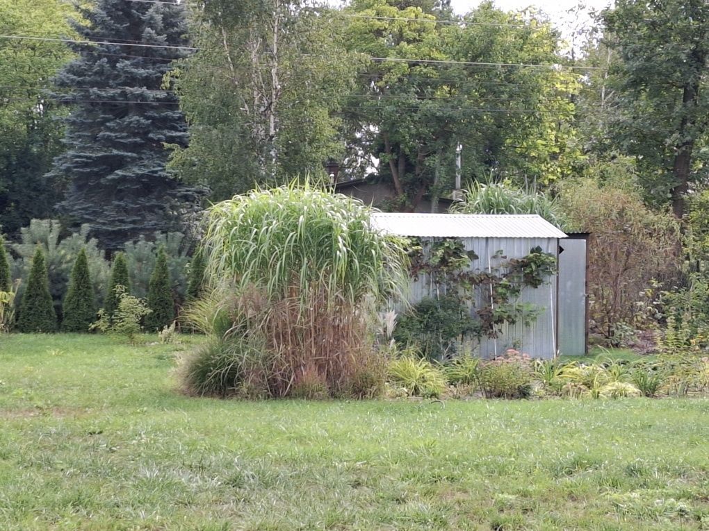 Działka budowlana Kady, ul. Starowiejska