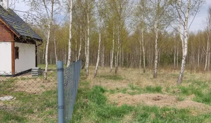 Działka rekreacyjna Małe Liniewo