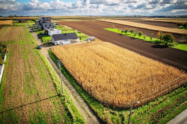 Działka budowlana Pietrowice Wielkie. Zdjęcie 1