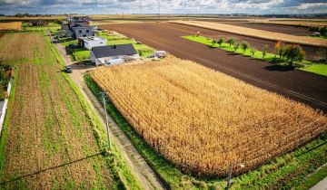 Działka budowlana Pietrowice Wielkie