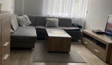 Mieszkanie 1-pokojowe Miasteczko Śląskie