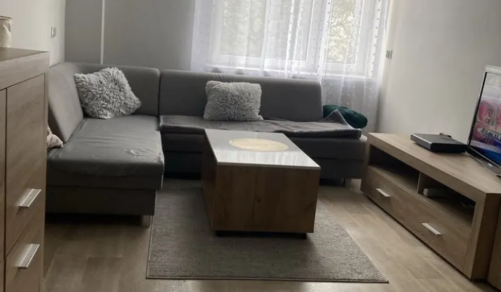 Mieszkanie 1-pokojowe Miasteczko Śląskie