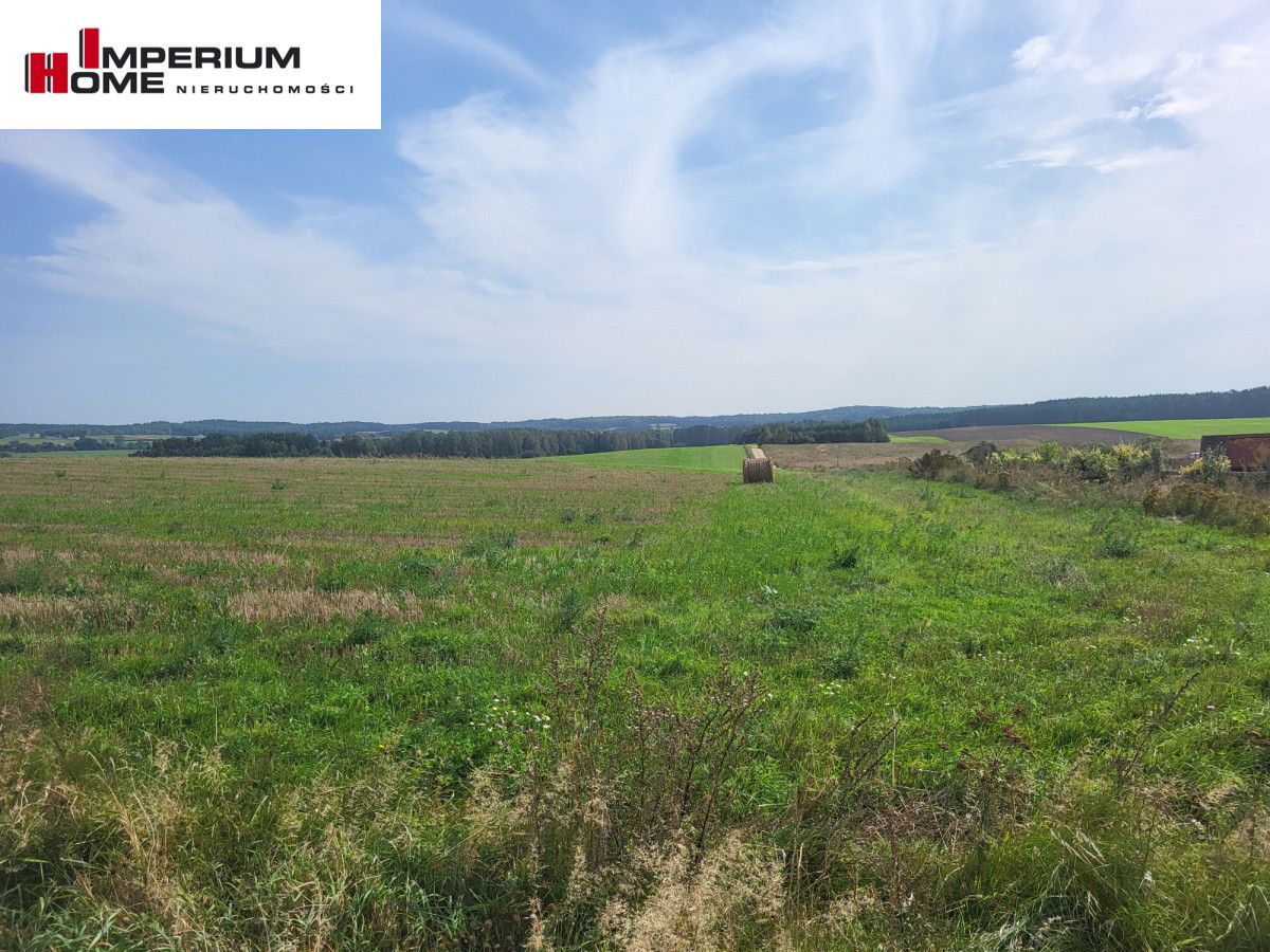 Działka budowlana Dzięcielec. Zdjęcie 7