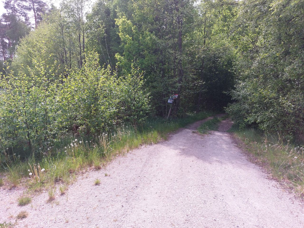 Działka rekreacyjna Starzechowice Sęp, BRAK. Zdjęcie 14