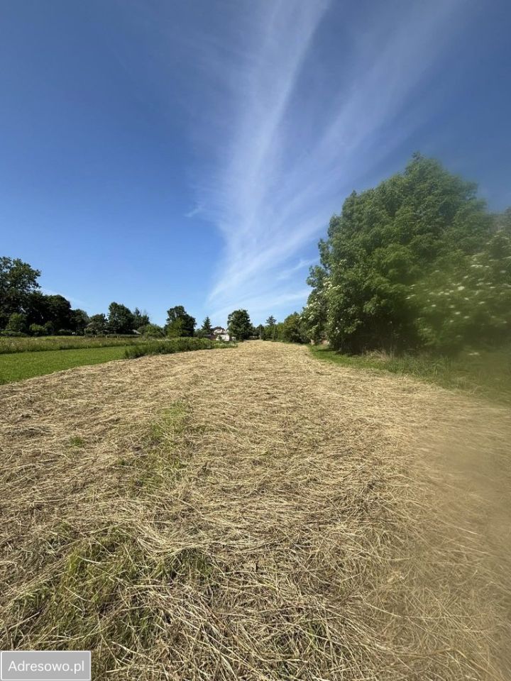 dom wolnostojący, 5 pokoi Płonka. Zdjęcie 13