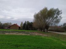 Działka rolna Wychódźc. Zdjęcie 2