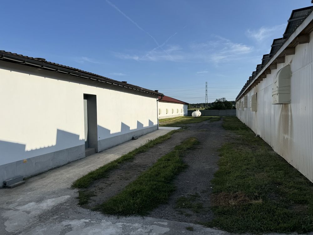 Hala/magazyn Reptowo. Zdjęcie 4