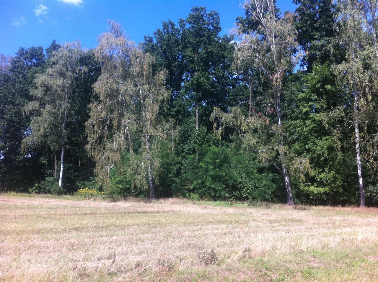 Działka budowlana Trzcianka. Zdjęcie 9