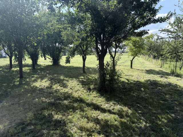 Działka rolno-budowlana Witaniów. Zdjęcie 1