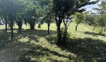 Działka rolno-budowlana Witaniów, Witaniów