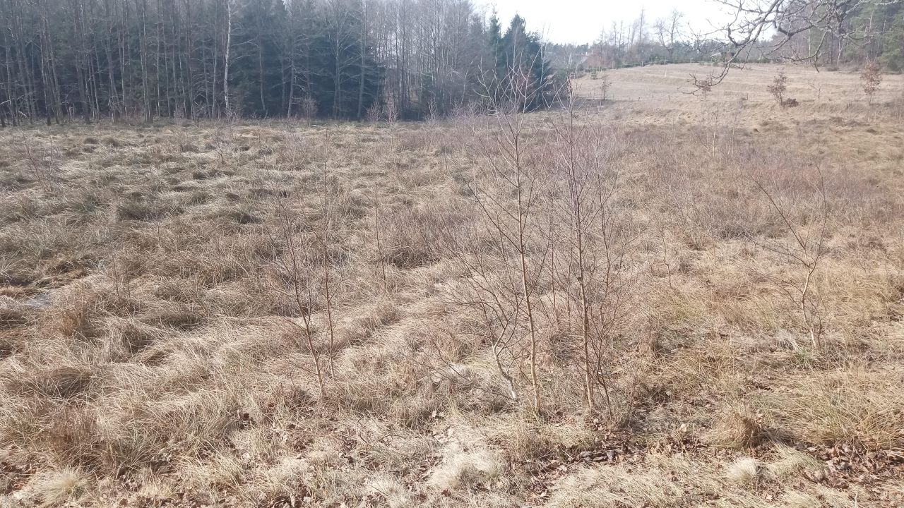 Działka budowlana Dziechno. Zdjęcie 5