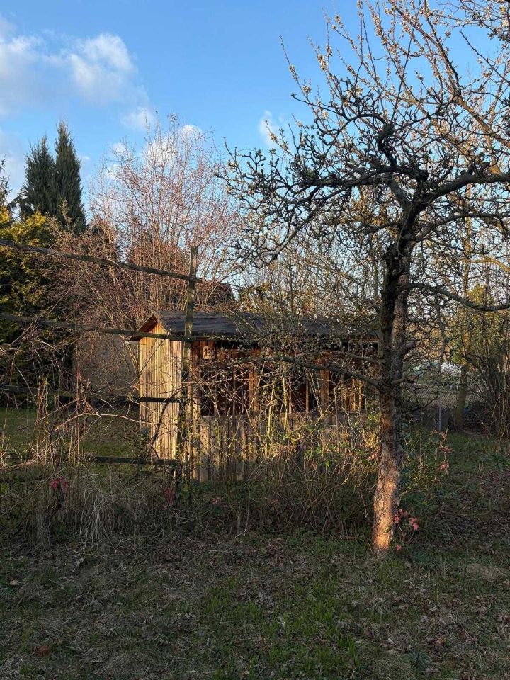 Działka rod Trzebnica. Zdjęcie 5