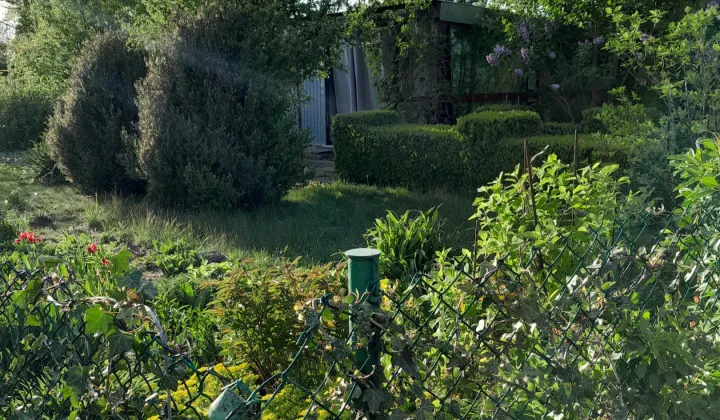 Działka rod Komadzyn