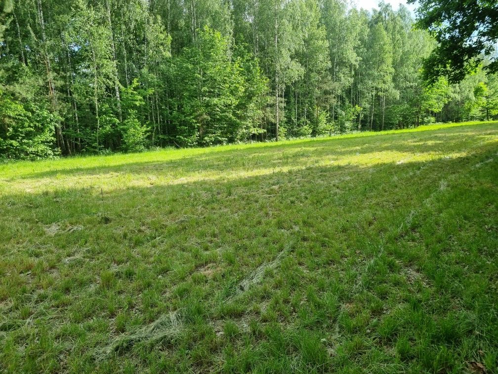 Działka rolna Zakanale. Zdjęcie 4