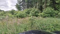 Działka rekreacyjna Ruda Jeżewska Zygmuntów, Przyszłość. Zdjęcie 1